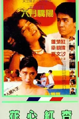 午夜精品不卡电影在线观看