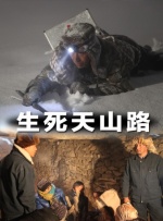 日本a级不卡