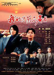 夫人惊人的容颜