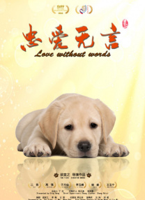 小心谨慎的男人